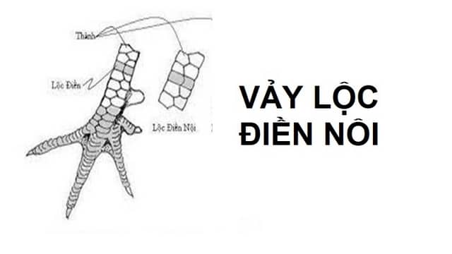 chien ke vay giap 674da19fbfeb4
