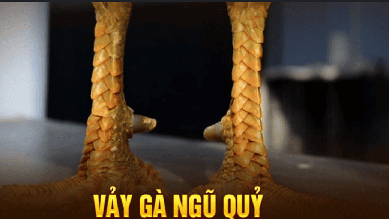 Gà Vảy Rồng 77Win - Khám Phá Thiên Đường Của Linh Kê